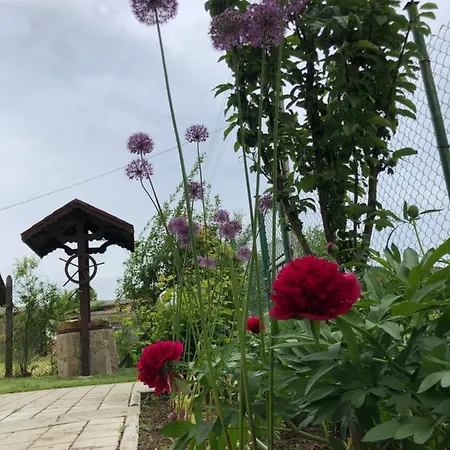 Jerman 게스트하우스 Konska